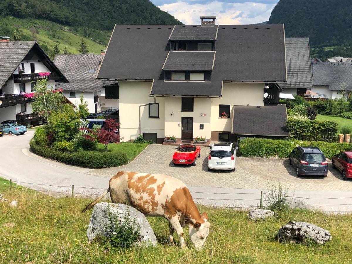 Apartment In The Heart Of Nature Bohinj Exterior photo